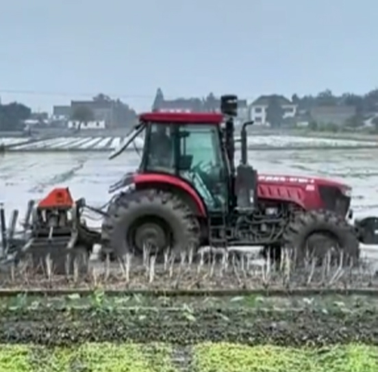 您負(fù)責(zé)統(tǒng)籌全局，它負(fù)責(zé)腳踏實(shí)地